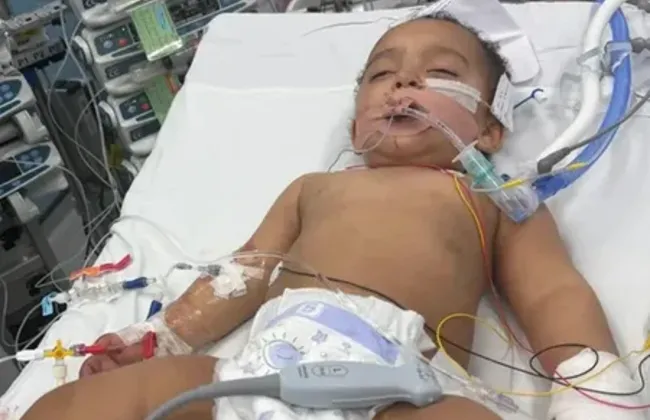 Imagem ilustrativa da imagem 