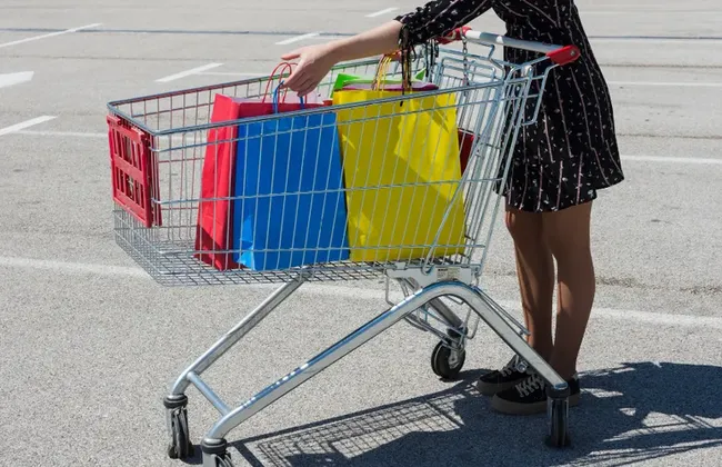 Imagem ilustrativa da imagem 