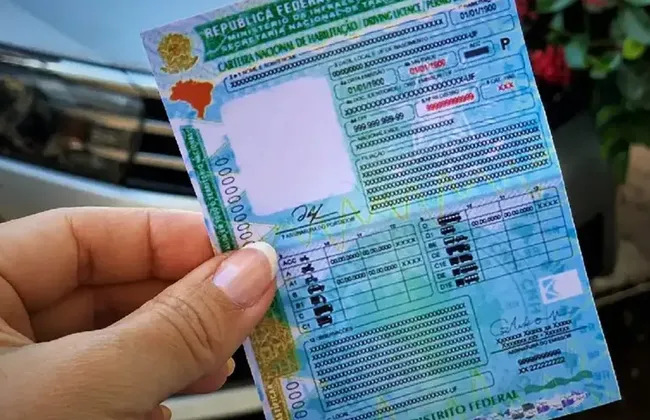 Imagem ilustrativa da imagem 