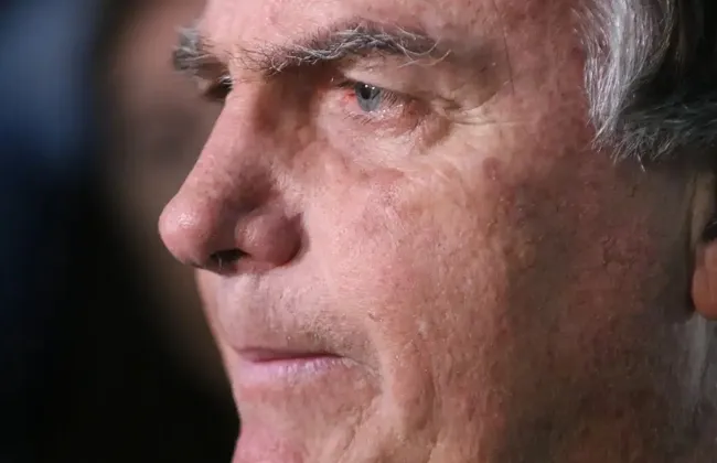 Imagem ilustrativa da imagem 