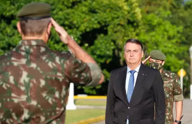 Imagem ilustrativa da imagem 