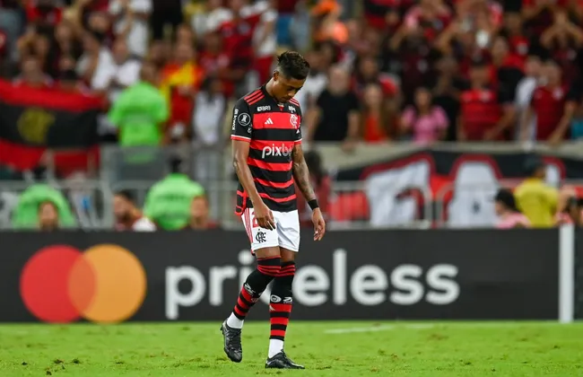 Imagem ilustrativa da imagem 