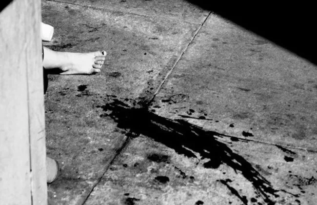 Imagem ilustrativa da imagem 