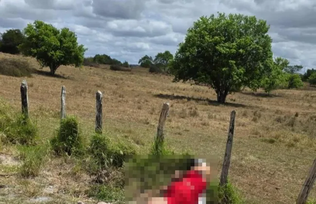 Imagem ilustrativa da imagem 