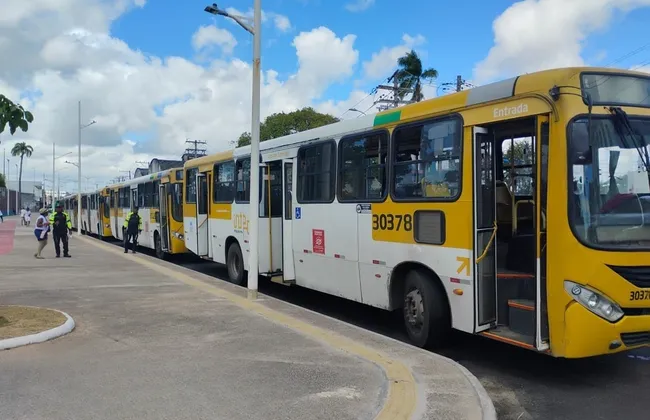 Imagem ilustrativa da imagem 