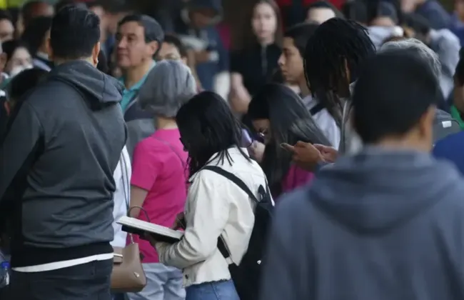 Imagem ilustrativa da imagem 