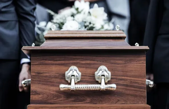 Imagem ilustrativa da imagem 