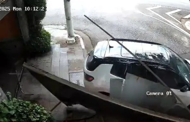 Imagem ilustrativa da imagem 