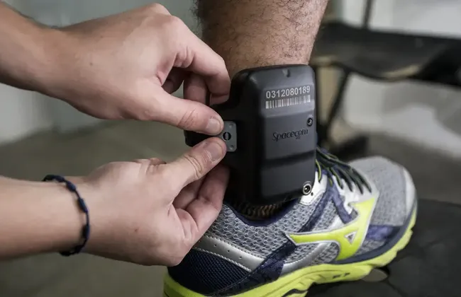 Imagem ilustrativa da imagem 