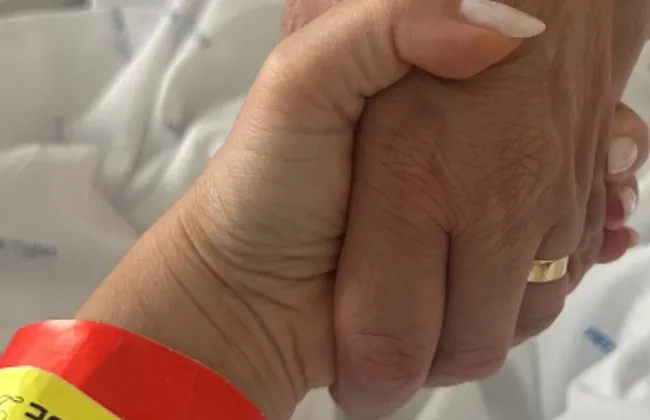 Imagem ilustrativa da imagem 