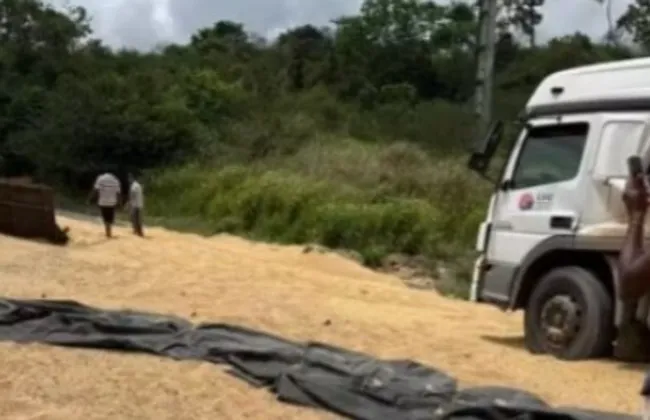 Imagem ilustrativa da imagem 