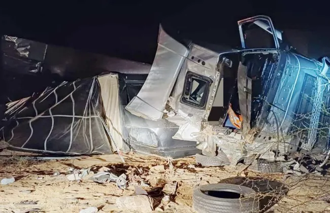 Imagem ilustrativa da imagem 