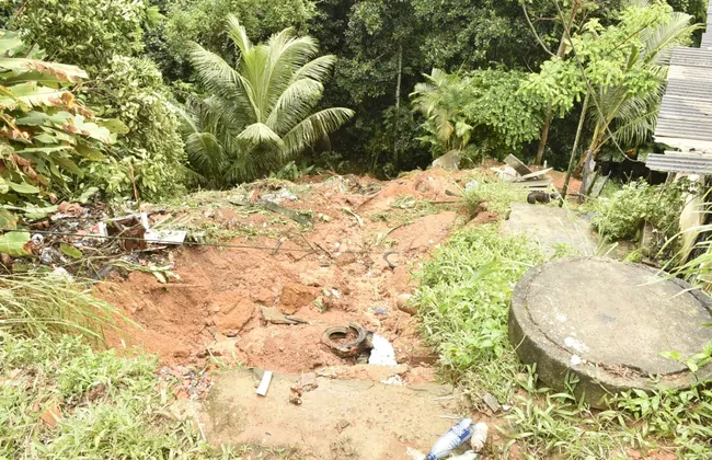 Imagem ilustrativa da imagem 