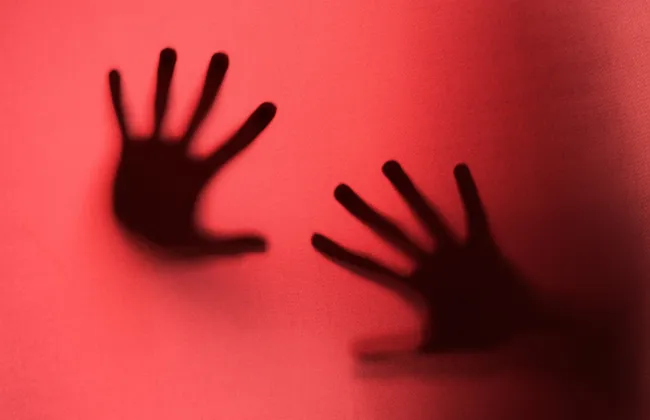 Imagem ilustrativa da imagem 