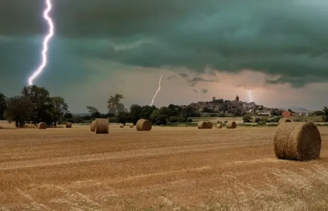 Imagem ilustrativa da imagem 