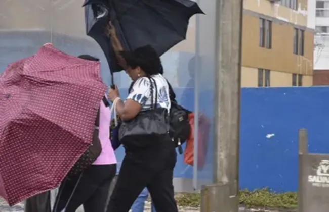 Imagem ilustrativa da imagem 