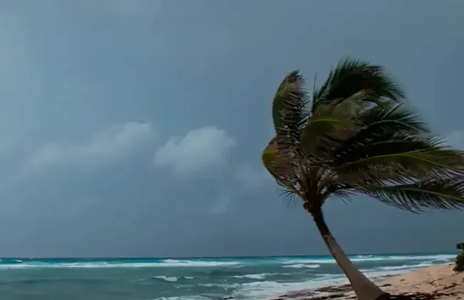 Imagem ilustrativa da imagem 