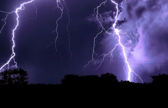 Imagem ilustrativa da imagem 