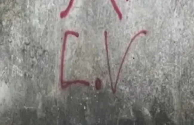 Imagem ilustrativa da imagem 