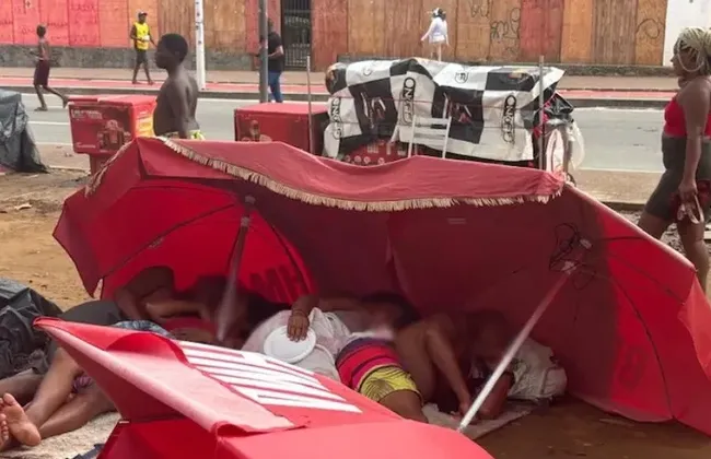 Imagem ilustrativa da imagem 