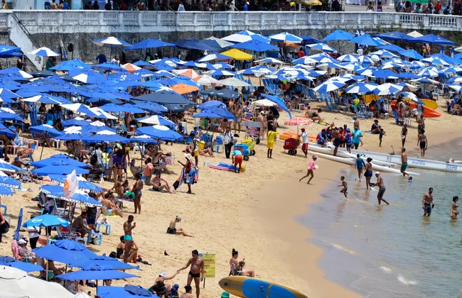 Imagem ilustrativa da imagem 