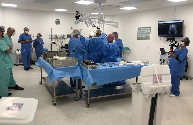 Imagem ilustrativa da imagem 