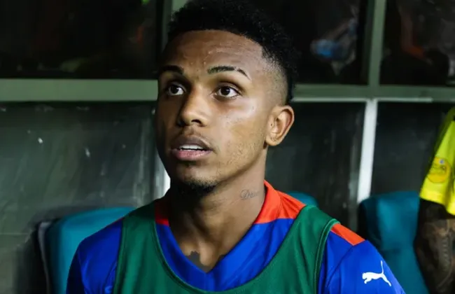 Imagem ilustrativa da imagem 