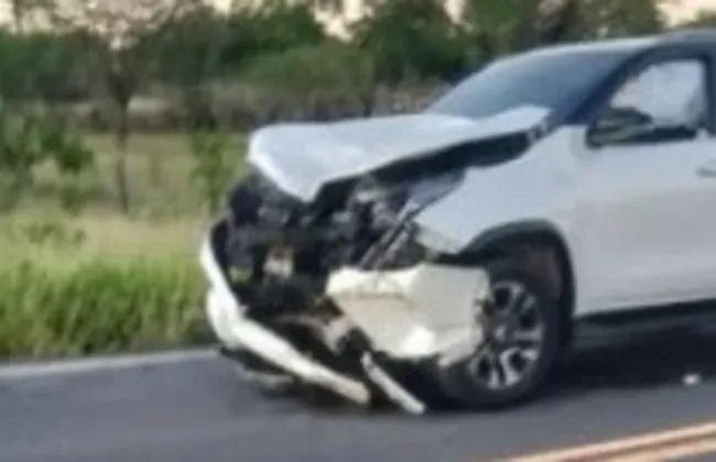 Imagem ilustrativa da imagem 