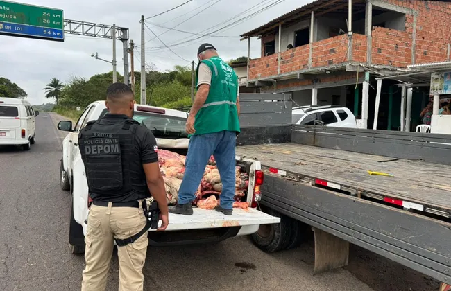 Imagem ilustrativa da imagem 