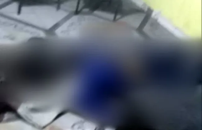 Imagem ilustrativa da imagem 