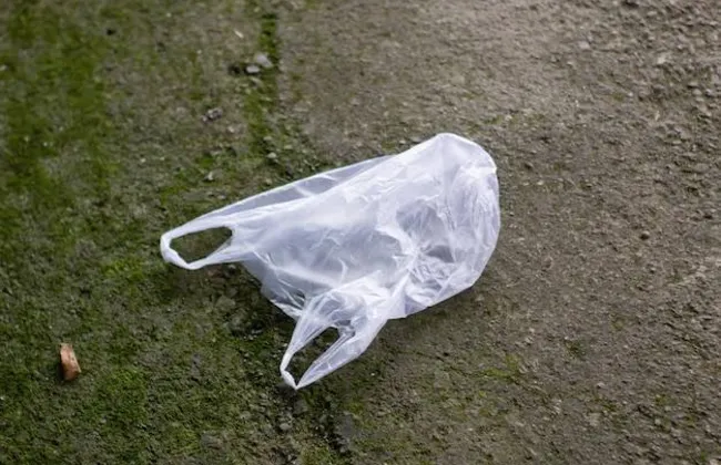 Imagem ilustrativa da imagem 