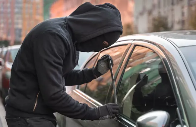 Imagem ilustrativa da imagem 