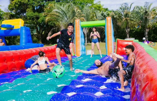 Imagem ilustrativa da imagem 