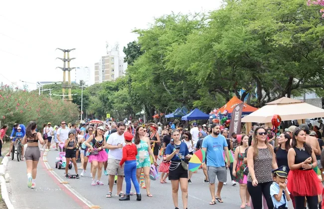 Imagem ilustrativa da imagem 