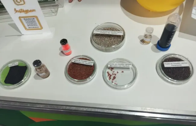 Imagem ilustrativa da imagem 