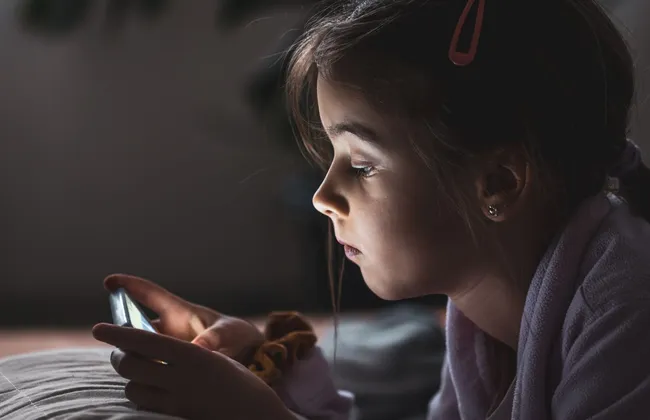 Imagem ilustrativa da imagem 