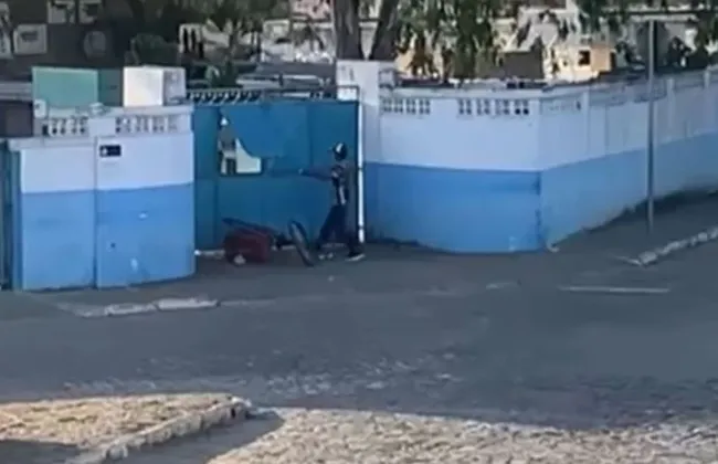 Imagem ilustrativa da imagem 