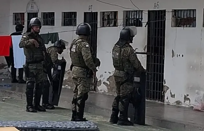 Imagem ilustrativa da imagem 