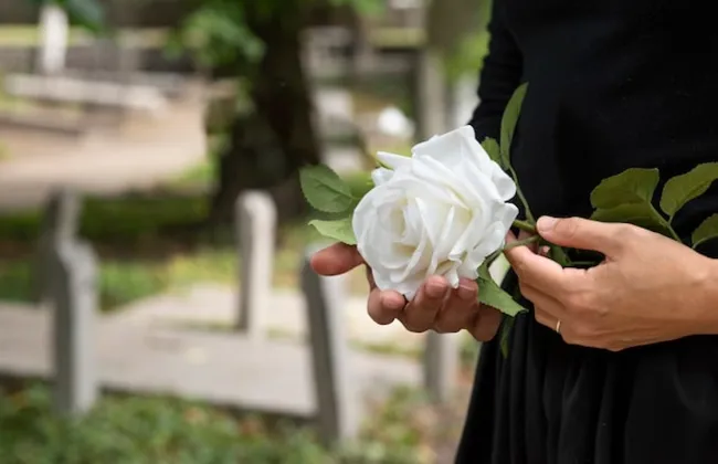 Imagem ilustrativa da imagem 