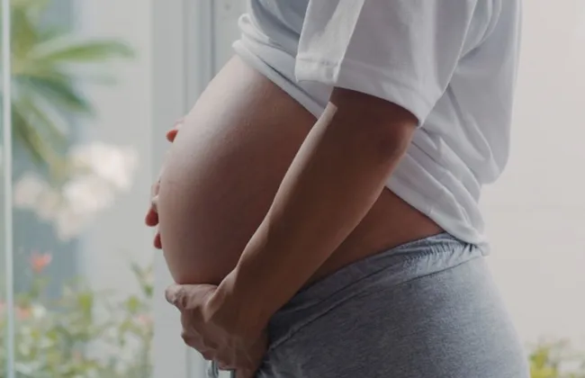 Imagem ilustrativa da imagem 