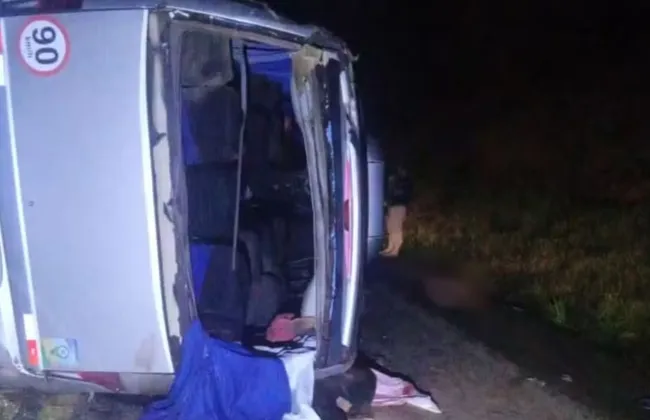 Imagem ilustrativa da imagem 