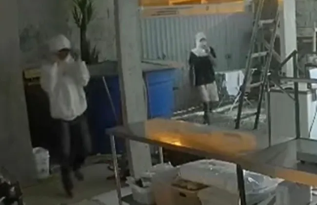 Imagem ilustrativa da imagem 