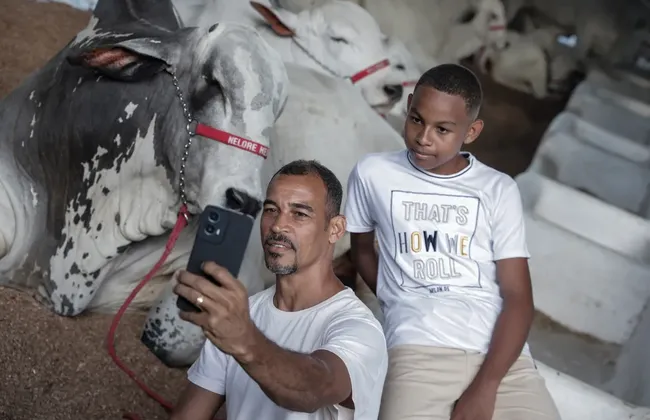 Imagem ilustrativa da imagem 