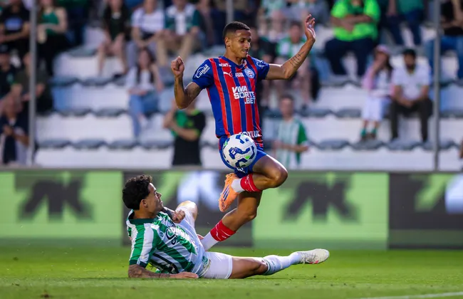 Imagem ilustrativa da imagem 