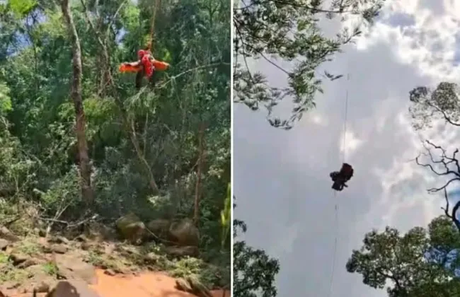 Imagem ilustrativa da imagem 