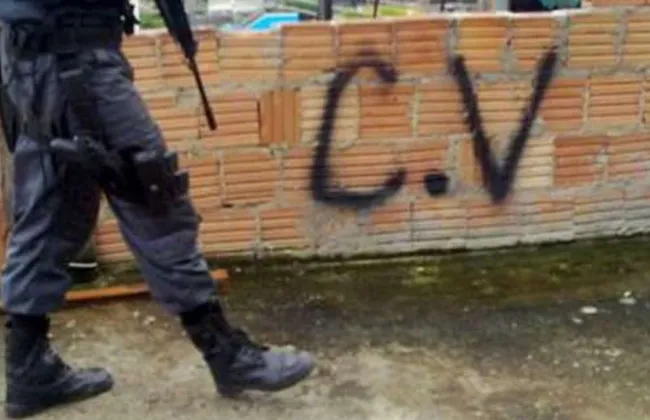 Imagem ilustrativa da imagem 