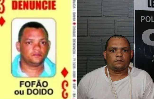 Imagem ilustrativa da imagem 