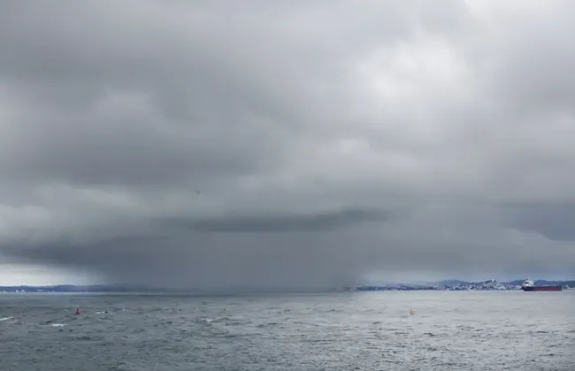 Imagem ilustrativa da imagem 