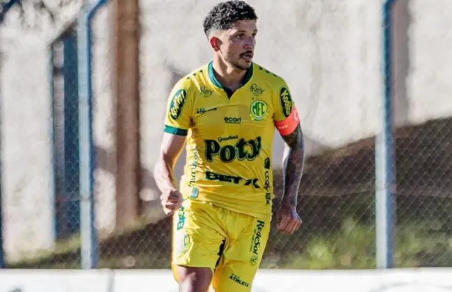 Imagem ilustrativa da imagem 