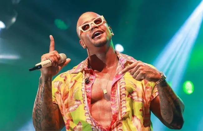 Imagem ilustrativa da imagem 